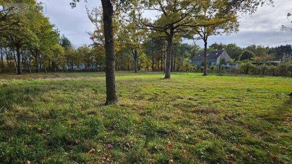 Achat - Terrain à bâtir | Terrain à bâtir La Suze-sur-Sarthe 72210 1500 m 2 1500 m 2