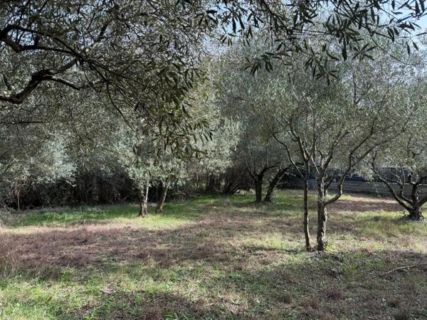 Terrain viabilisé 529 m² – Castries – proche Montpellier