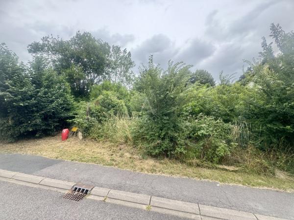 EXCLUSIVITÉ // TERRAIN CONSTRUCTIBLE // NOVÉANT SUR MOSELLE // 16,72 ARES // 145 000 