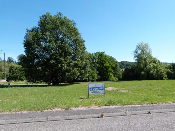 Terrain à vendre de 2 497,00 m² SCHORBACH (57)
