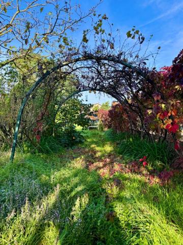 Maison Chassieu 5 pièces 120m2 terrain constructible divisé 897m2