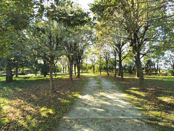 ANCIEN RELAIS DE CHASSE AUX PORTES DE CHATELLERAULT