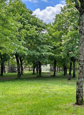 ANCIEN RELAIS DE CHASSE AUX PORTES DE CHATELLERAULT