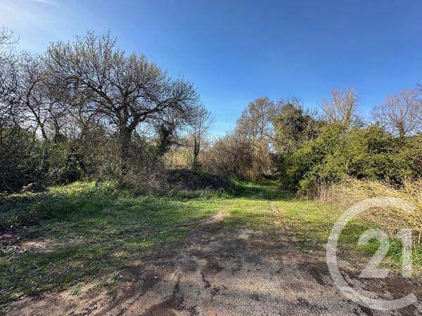 Maison à vendre  5 pièces - 118,37 m2 GRABELS - 34