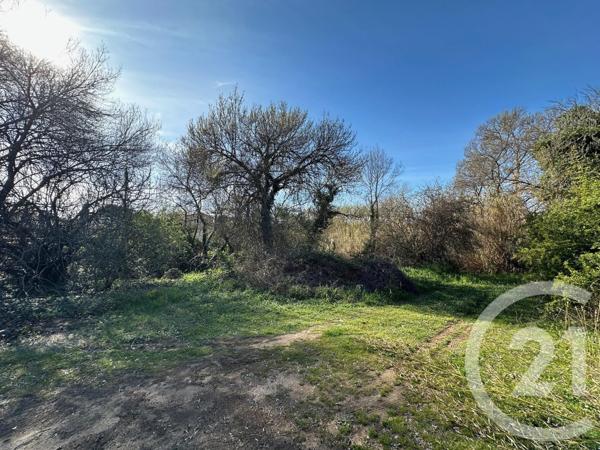 Maison à vendre  5 pièces - 118,37 m2 GRABELS - 34