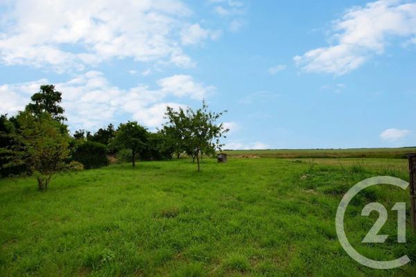 Maison à vendre  4 pièces - 119,04 m2 ST OUEN - 41