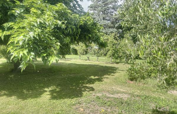 A vendre Saint Mathurin sur Loire à proximité directe du cente ville. Maison ancienne type longère  à rénover, Terrain de plus de 3000m² entièrement arboré.