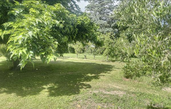 A vendre Saint Mathurin sur Loire à proximité directe du cente ville. Maison ancienne type longère  à rénover, Terrain de plus de 3000m² entièrement arboré.