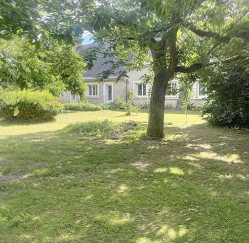 A vendre Saint Mathurin sur Loire à proximité directe du cente ville. Maison ancienne type longère  à rénover, Terrain de plus de 3000m² entièrement arboré.