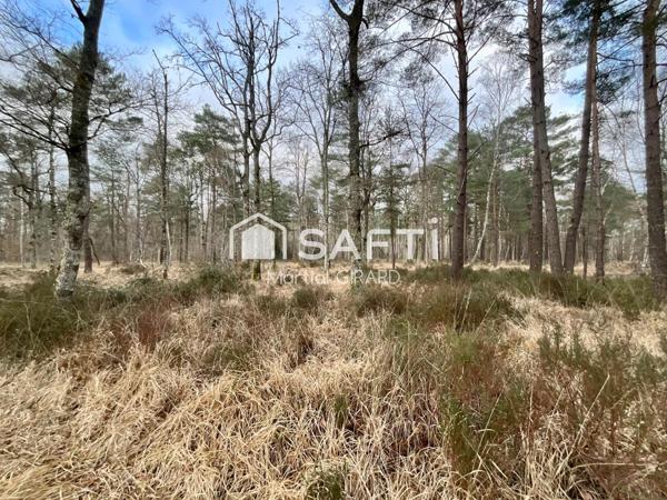 Propriété forestière