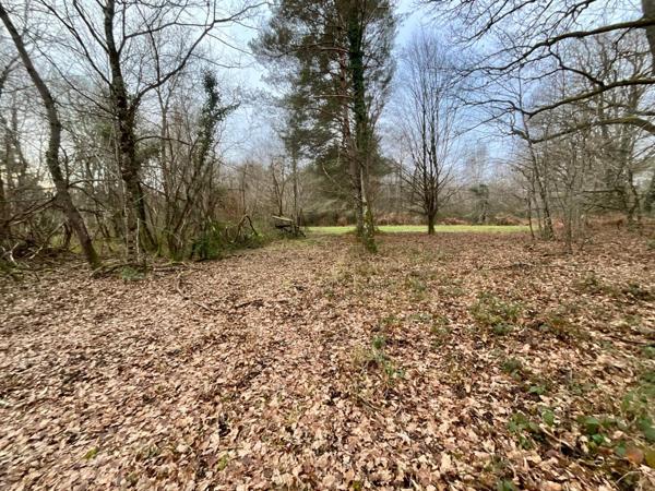 Propriété forestière