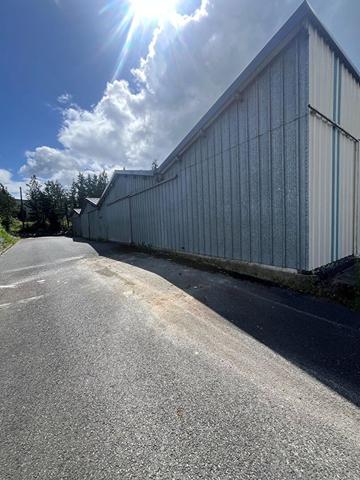 Local d'activité Saint Berthevin 710 m2