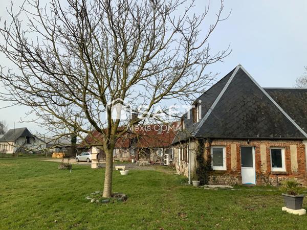 Dans les plaines Normandes