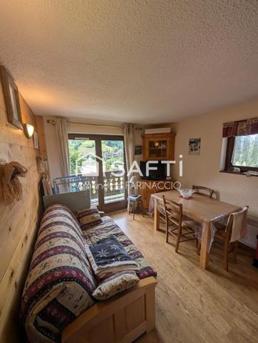 Bel appartement à Praz sur Arly