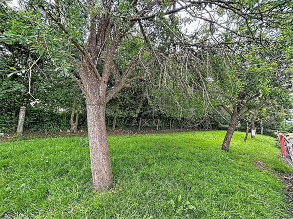 Bergerie avec terres agricoles à proximité immédiate de NOGENT LE ROTROU