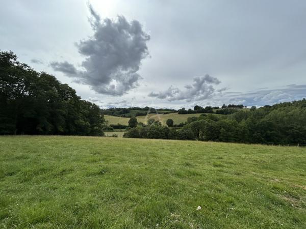 Bergerie avec terres agricoles à proximité immédiate de NOGENT LE ROTROU