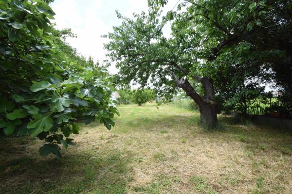 Maison à vendre T5 au MAS GRENIER (82) proche de VERDUN SUR GARONNE