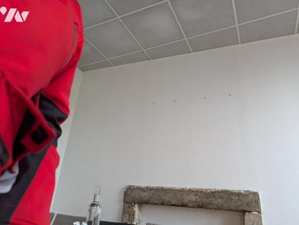 Murs commerciaux loués