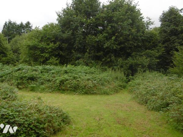 DANS UN TRIANGLE NOUES DE SIENNE - SAINT-POIS - SOURDEVAL 