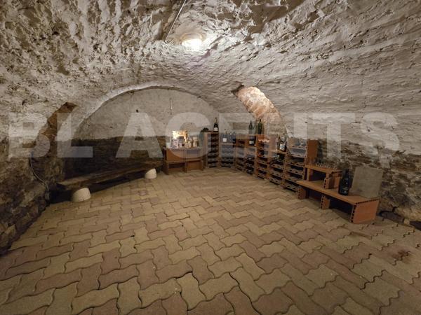 maison/villa 10 pièce(s) 260 m2