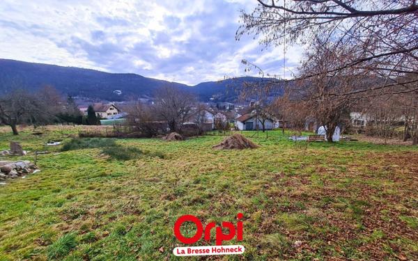 Terrain à vendre    Saulxures-sur-Moselotte