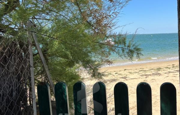 Appartement T3 de plain-pied avec terrasse, accès plage et emplacement idéal   Arcachon