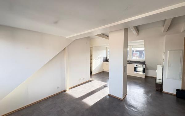 Appartement à louer    3 pièces •  Schiltigheim