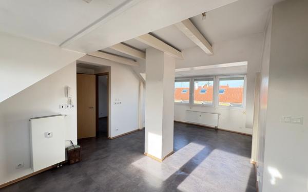 Appartement à louer    3 pièces •  Schiltigheim