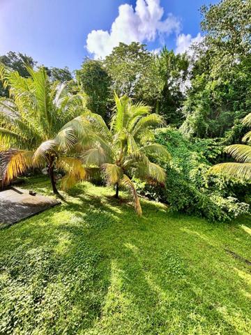 Grosse opportunité de Maison à Rénover à vendre 6 pièces DUCOS (972)