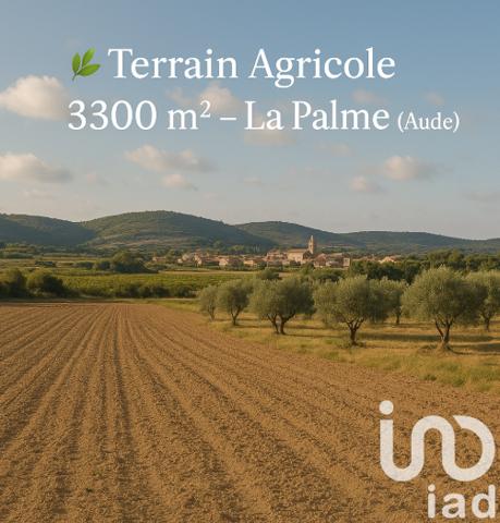 Terrain à vendre 3 300 m² La Palme