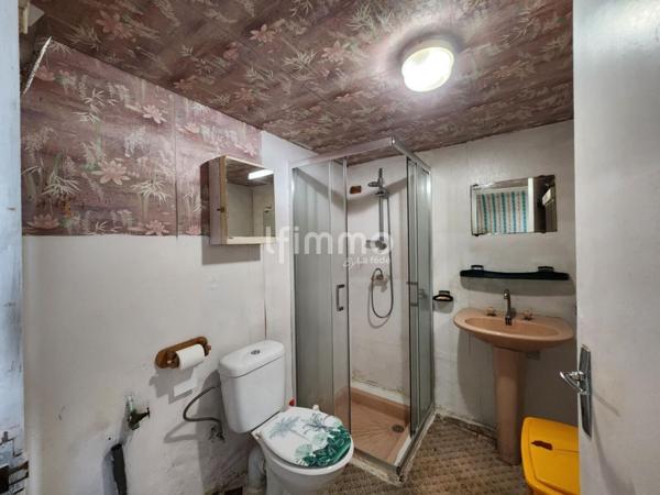 Maison de ville avec jardin à rénover