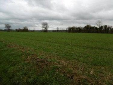 Terrain de loisirs - Bois - Etang à vendre à Saint-Pierre-Tarentaine dans le Calvados (14350), ref : 14076-4941