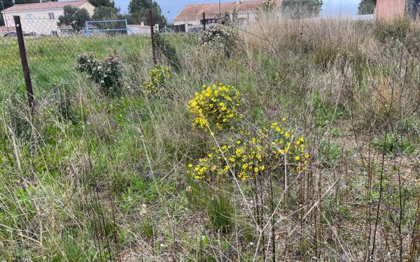 Terrain à vendre    Mèze