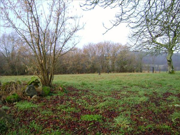 Terrain à vendre |  Salon-la-Tour |  2970 m²