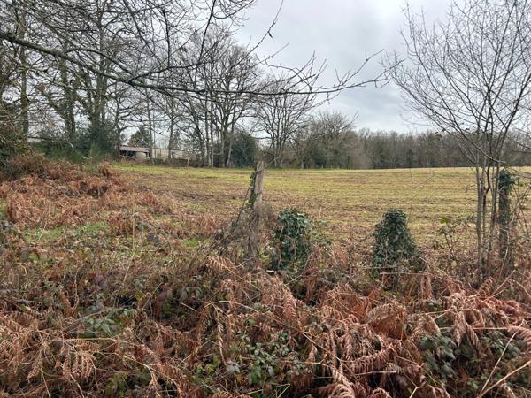 Terrain à vendre de 1 000,00 m² SAINT AMAND MAGNAZEIX (87)