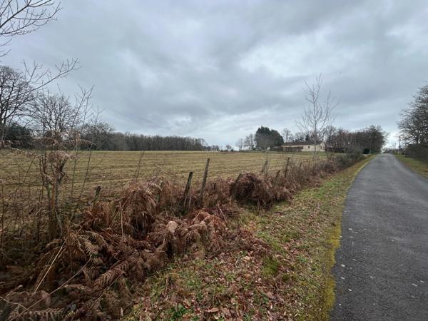 Terrain à vendre de 1 000,00 m² SAINT AMAND MAGNAZEIX (87)