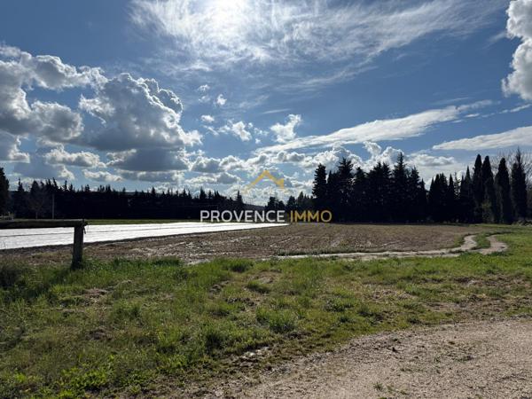 Sénas (13560) En exclusivité Mas mitoyen à Sénas : Deux lots disponibles dans un même Mas de caractère