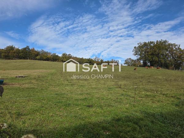 Terrain constructible légèrement vallonné au calme