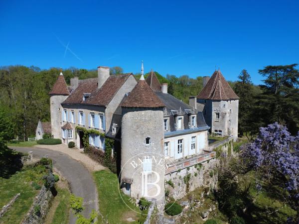 Châtellerault, Château 6 Chambres -  430 m² à vendre