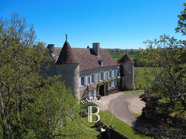 Châtellerault, Château 6 Chambres -  430 m² à vendre