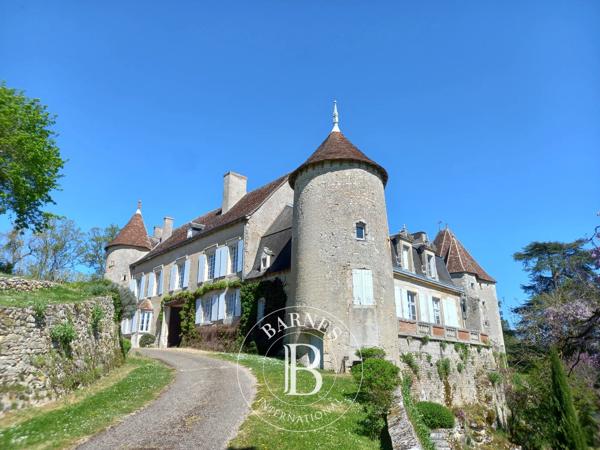 Châtellerault, Château 6 Chambres -  430 m² à vendre