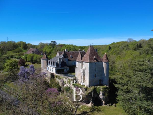 Châtellerault, Château 6 Chambres -  430 m² à vendre