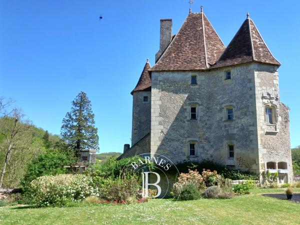 Châtellerault, Château 6 Chambres -  430 m² à vendre