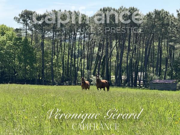 Propriété équestre de prestige de 187 M2 Longère et Installations Equestre à SALLEBOEUF