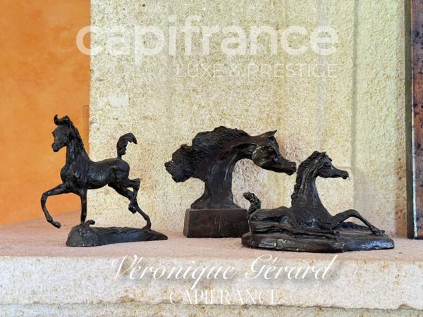 Propriété équestre de prestige de 187 M2 Longère et Installations Equestre à SALLEBOEUF