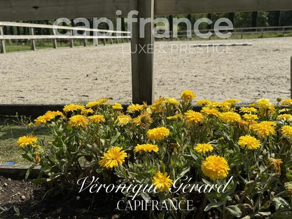 Propriété équestre de prestige de 187 M2 Longère et Installations Equestre à SALLEBOEUF