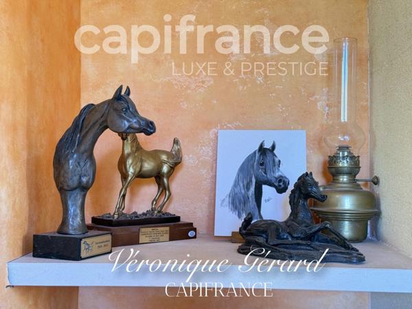 Propriété équestre de prestige de 187 M2 Longère et Installations Equestre à SALLEBOEUF