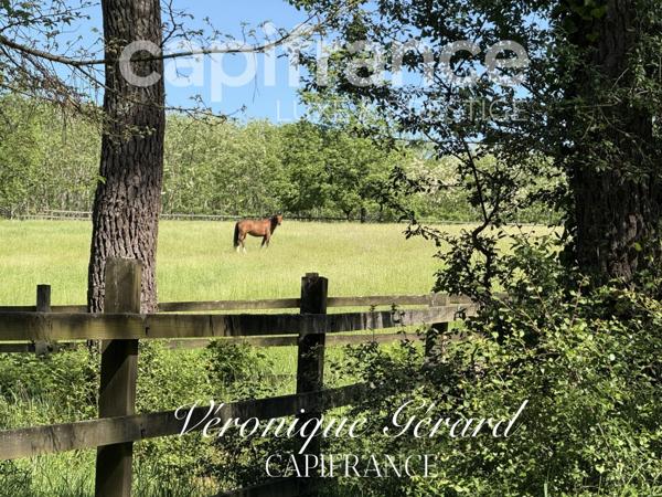 Propriété équestre de prestige de 187 M2 Longère et Installations Equestre à SALLEBOEUF