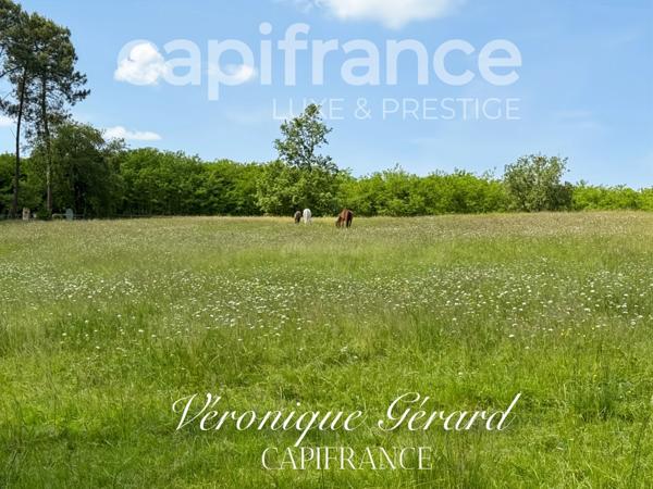 Propriété équestre de prestige de 187 M2 Longère et Installations Equestre à SALLEBOEUF