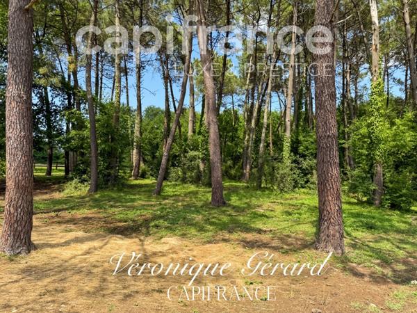 Propriété équestre de prestige de 187 M2 Longère et Installations Equestre à SALLEBOEUF